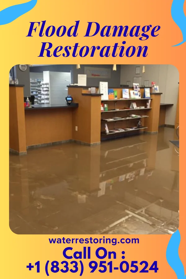 Flood Damage Restoration in St. Francisville, IL
