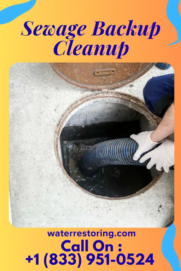 Sewage Backup Cleanup in St. Francisville, IL