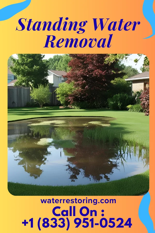 Standing Water Removal in St. Francisville, IL